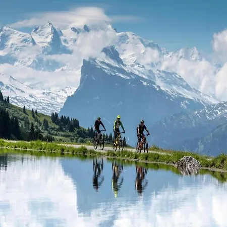 With A Balcony In Le Grand Massif